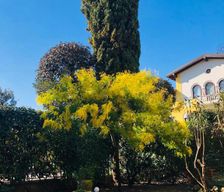 Italy Provincia di Brescia Salò vacation rental compare prices direct by owner 25188613