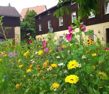 Germany  Struppen vacation rental compare prices direct by owner 6265075