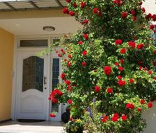 Germany Saarland St. Wendel vacation rental compare prices direct by owner 3923464
