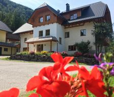 Austria Upper Austria Hinterberg vacation rental compare prices direct by owner 4055789
