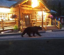 United States Alaska Cooper Landing vacation rental compare prices direct by owner 12792018