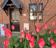 Ireland Dublin (region) Dublin 8 vacation rental compare prices direct by owner 6448733