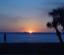 United States Florida Ruskin vacation rental compare prices direct by owner 756877