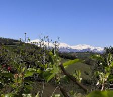 Italy  Montegiorgio vacation rental compare prices direct by owner 6555628