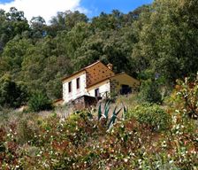 Spain Gran Canaria Teror vacation rental compare prices direct by owner 13809201