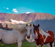 Georgia Mtkheta-Mtianeti Kazbegi vacation rental compare prices direct by owner 14904435