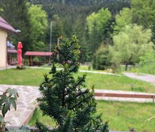 Romania Neamţ Schitu-Tarcău vacation rental compare prices direct by owner 13592040