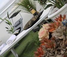 Italy  Rutigliano vacation rental compare prices direct by owner 13780467