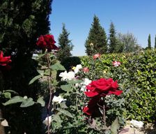 Italy Tuscany San Gimignano vacation rental compare prices direct by owner 4688914