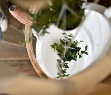 Belgium Brussels Region Brussels vacation rental compare prices direct by owner 18134608