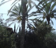 Israel Center District Israel Rishon LeẔiyyon vacation rental compare prices direct by owner 15894246