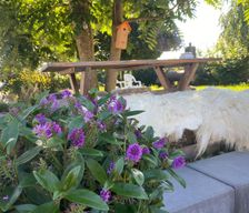 Netherlands Limburg Valkenburg vacation rental compare prices direct by owner 18248916