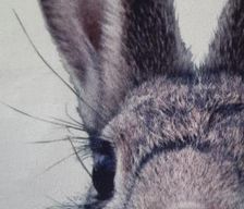 Netherlands Noord-Holland Egmond aan Zee vacation rental compare prices direct by owner 5605039