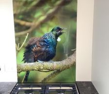 New Zealand Otago Hampden vacation rental compare prices direct by owner 18703134