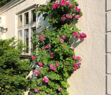 Sweden Skåne Borrby vacation rental compare prices direct by owner 15332928