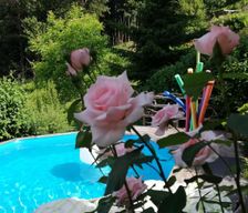 Austria  Pössnitz vacation rental compare prices direct by owner 13678069