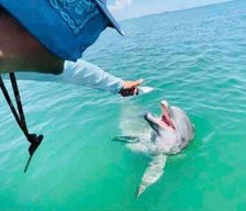 United States Texas Aransas Pass vacation rental compare prices direct by owner 29416921