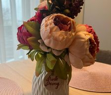 Lithuania Alytus County Druskininkai vacation rental compare prices direct by owner 15210639