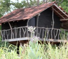 Sri Lanka Anuradhapura District Habarana vacation rental compare prices direct by owner 28788879