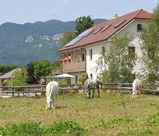 Slovenia  Postojna vacation rental compare prices direct by owner 18931893