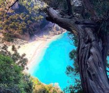 Italy Sardinia Àrbatax vacation rental compare prices direct by owner 12647158