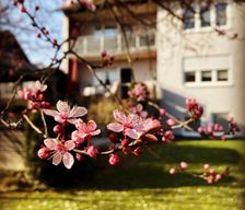 Germany Bavaria Uettingen vacation rental compare prices direct by owner 28469854