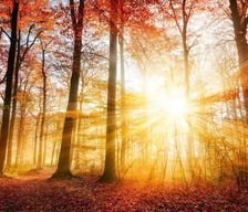 Netherlands Gelderland Voorthuizen vacation rental compare prices direct by owner 16018144