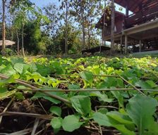 Thailand Nan Province Ban Hai vacation rental compare prices direct by owner 26039646
