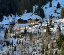 Austria Salzburg Hüttschlag vacation rental compare prices direct by owner 13464407