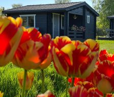 Latvia  Ragaciems vacation rental compare prices direct by owner 14999332