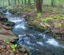 United States Pennsylvania Locust Lakes Village vacation rental compare prices direct by owner 35147358