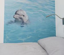 United Kingdom Isle of Man Douglas vacation rental compare prices direct by owner 38255627