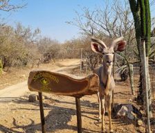 South Africa  Marloth Park vacation rental compare prices direct by owner 28412572