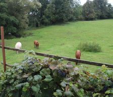 Austria Styria Weiz vacation rental compare prices direct by owner 26097660