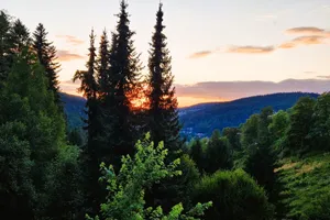 Germany  Triberg vacation rental compare prices direct by owner 34881082