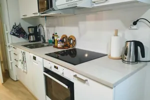 Finland Varsinais-Suomi Turku vacation rental compare prices direct by owner 36501685