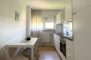 Germany SL Saarbrücken vacation rental compare prices direct by owner 33343179
