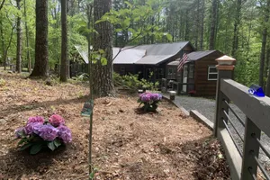 United States Georgia Morganton vacation rental compare prices direct by owner 33443630
