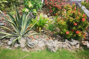 Guadeloupe Grande-Terre Grand-Bourg vacation rental compare prices direct by owner 3075476