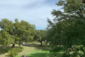 United States Texas Spring Branch vacation rental compare prices direct by owner 465094