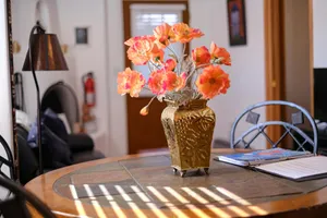 United States New Mexico Santa Fe vacation rental compare prices direct by owner 195929