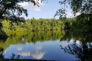 United States Wisconsin Grand Marsh vacation rental compare prices direct by owner 1348467