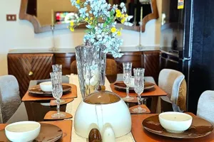 Egypt Dakahlia Governorate Mansoura Qism 2 vacation rental compare prices direct by owner 33234584