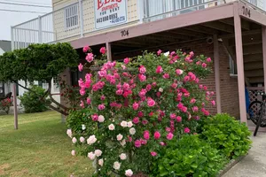 United States Maryland Ocean City vacation rental compare prices direct by owner 26618256