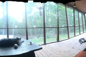 United States Virginia New Market vacation rental compare prices direct by owner 2616842