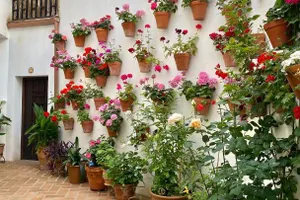 Spain Andalucía Córdoba vacation rental compare prices direct by owner 15860694