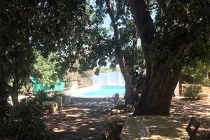 Italy Sicily Santa Croce Camerina vacation rental compare prices direct by owner 28847986