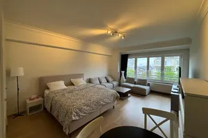 Belgium Brussels Region Brussels vacation rental compare prices direct by owner 35373939