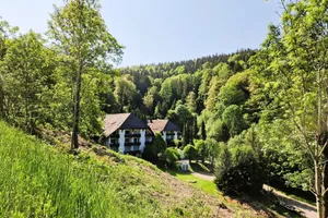 Germany Baden-Württemberg Triberg vacation rental compare prices direct by owner 35071047