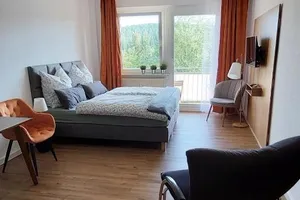 Germany Saxony Bad Elster vacation rental compare prices direct by owner 35169335